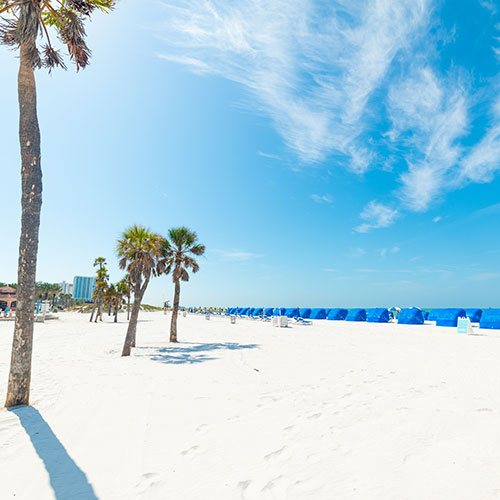 a beach with umbrellas and palm trees